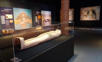 Zapůjčení mumie Hereret na výstavu TUTANCHAMON JEHO HROBKA A JEHO POKLADY